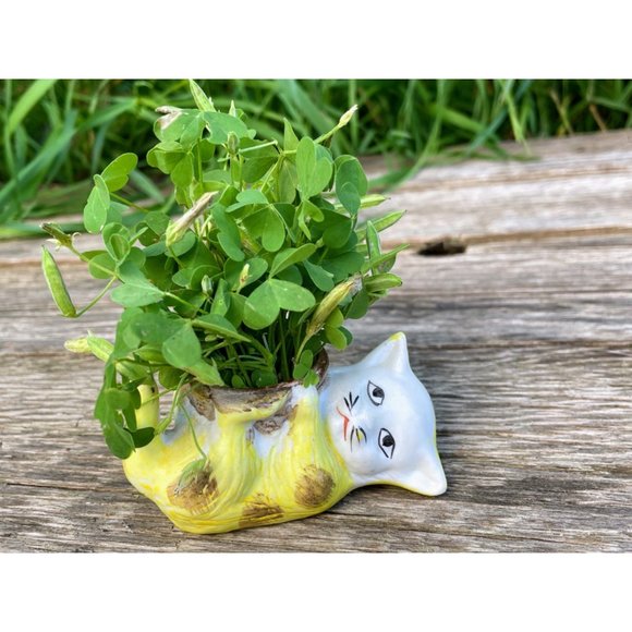 Vintage Bisque Porcelain Small Sad Kitty Cat Planter Vase - Picture 1 of 11